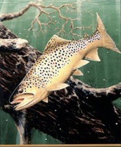 Arkansas River Map